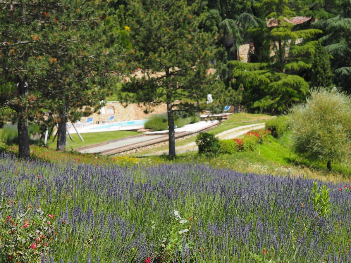Sassi Bianchi Guest House Sensano Exterior foto